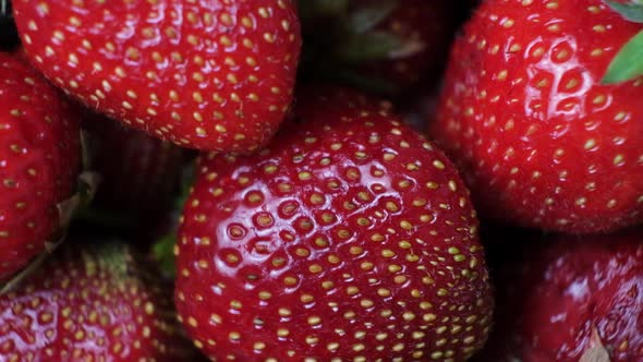 Strawberries Spinning in a Circle Top View Macro Video