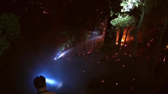 Large Forest Fire At Night