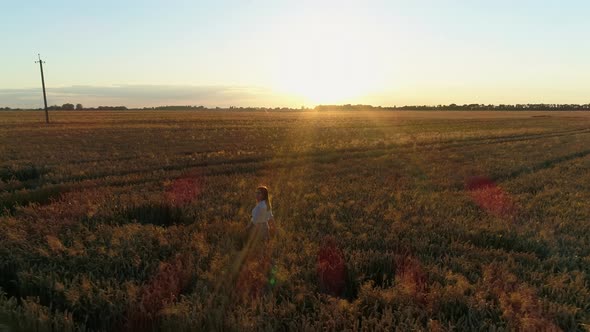 Aerial View Woman Standing in Field of Wheat During Sunset or Sunrise Drone