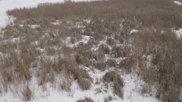 View Of Frozen Grass From The Air In Winter