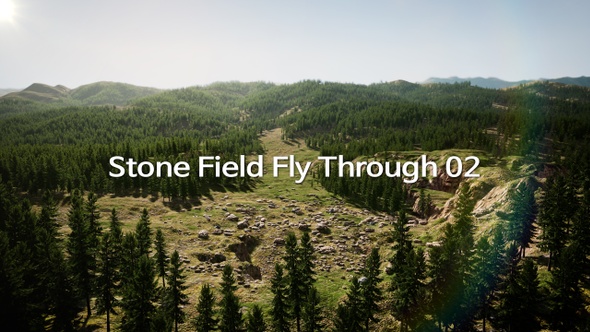 Stone Field Fly Through 02