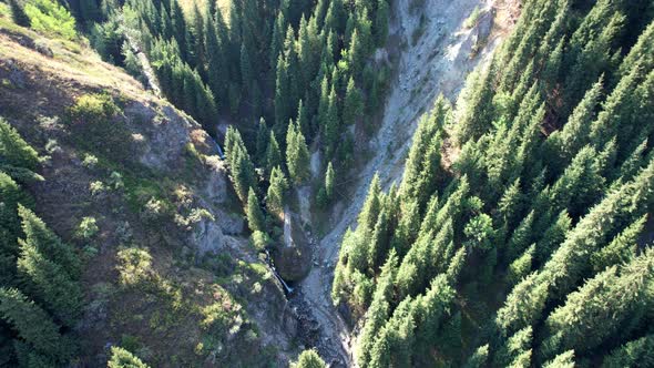 A Mountain Waterfall in a Rocky Gorge with Forest