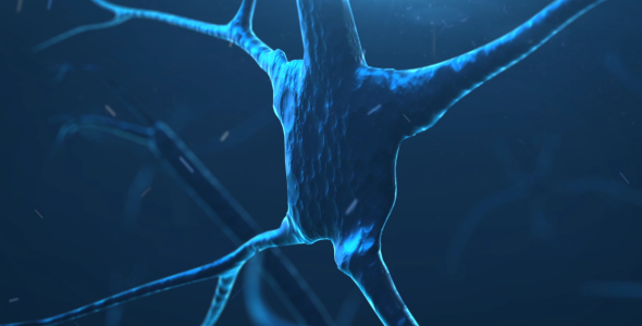 Synaps Neuron