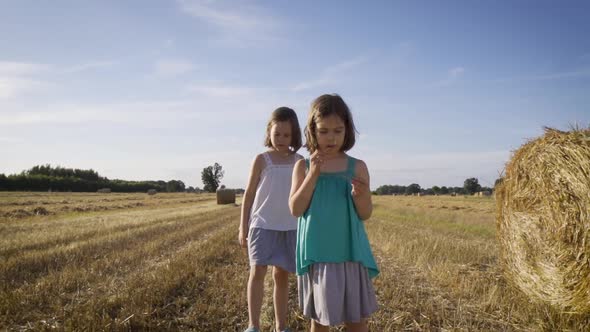 Two Charming Girls Are Walking on Mowed Rye in the Field 