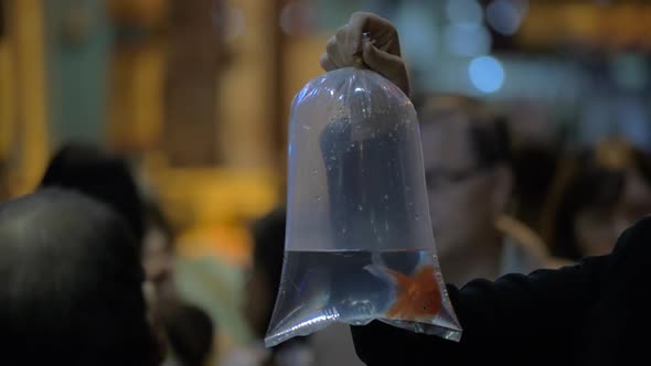 Woman in the street holding a packet with goldfish