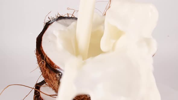 Slow Motion Shot of Milk Splashing on Coconut on White Background