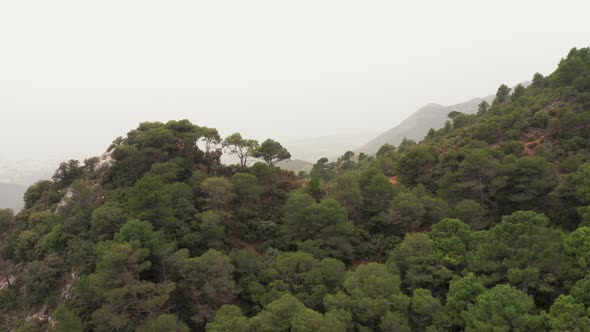 Drone Flight Over Forests On Hillside