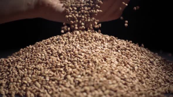 Female Hands Pours Buckwheat Grain. Slow Motion