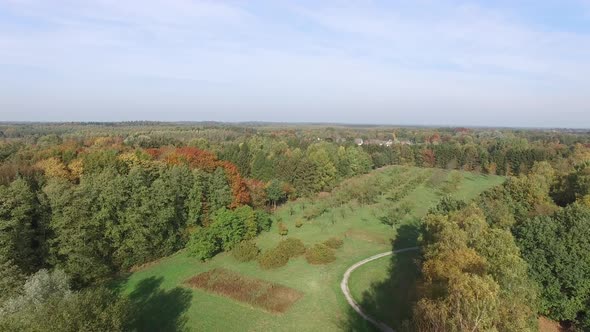 Fly Over Autumn Trees