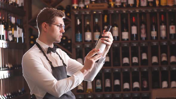 Immersed Alcohol Critic Fixedly Gazing at Wine