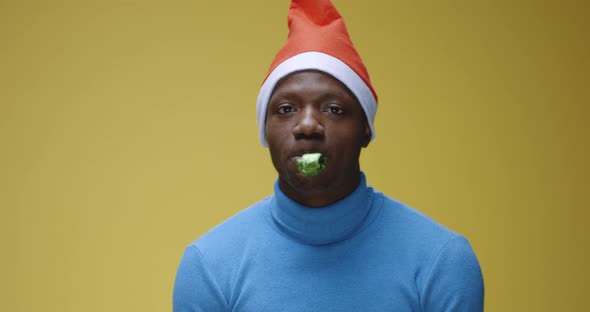 Man Blowing Party Horn in Santa Hat