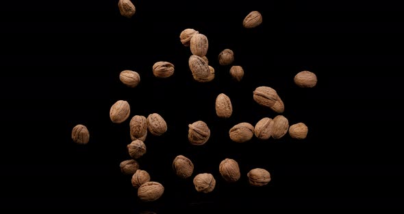 Walnut, juglans regia, Fruits falling against Black Background, Slow Motion 4K