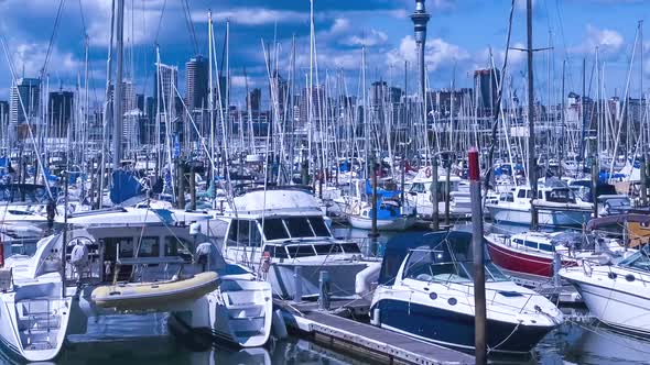 Auckland harbor New Zealand