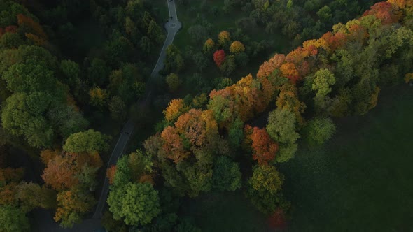 Flight over the autumn park. Trees with yellow autumn leaves are visible. Aerial photography.