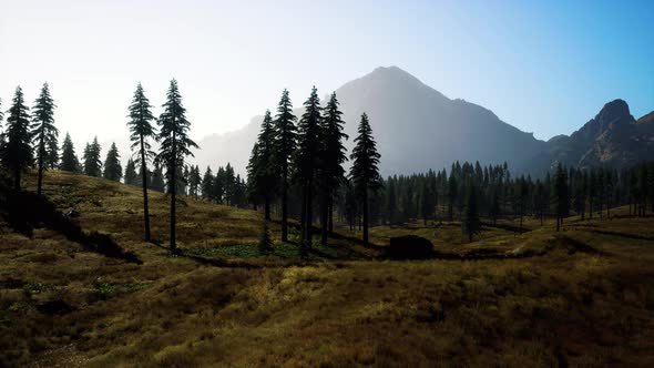 Rocky Mountain Range with Trees alt