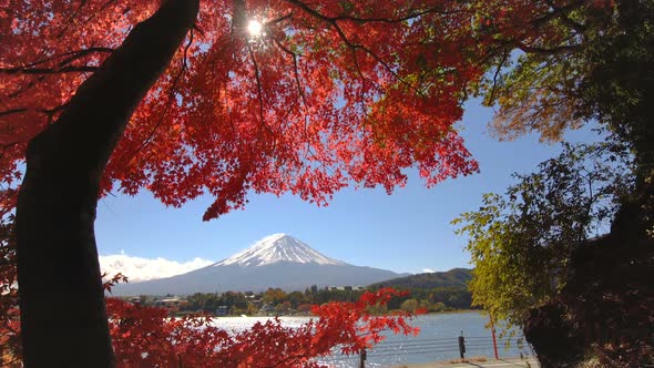 Mount Fuji in Autumn Color, Japan