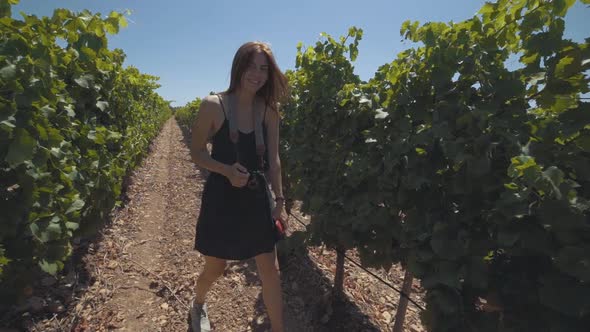 Beautiful Young Woman in a Dress Walks in the Vineyards