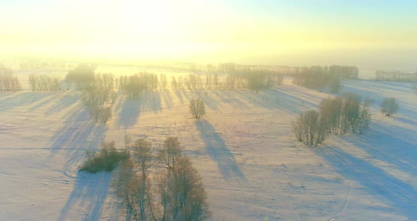 Aerial Drone View of Cold Winter Landscape with Arctic Field Trees Covered with Frost Snow and