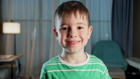 Portrait Funny Little Boy Smiling Child Looking at Camera are Sitting on the Couch at Home Cute Kid