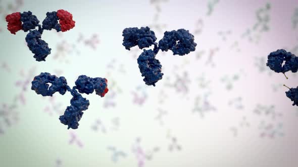 medically accurate 3d animation of an antibody