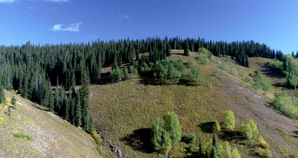 Kebler pass near Crested Butte Colorado during the fall colors from the aspen trees.