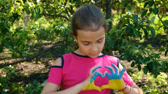 The Ukrainian Flag is Drawn on the Child Hands