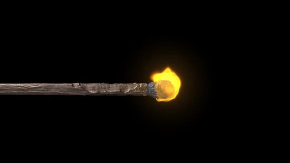 A Burning Match Ignites Slow Motion Animation.