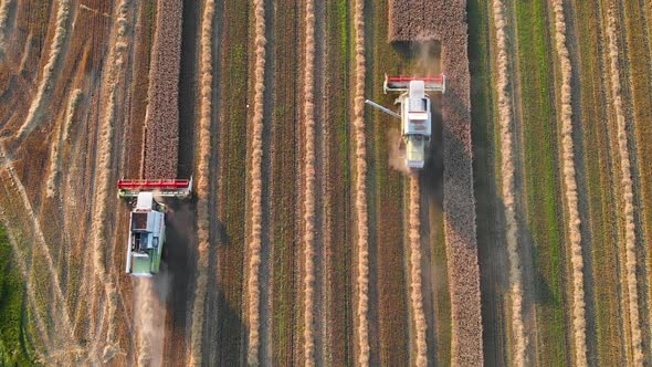 Slow motion of an aerial view of two combine-harvesters on the field