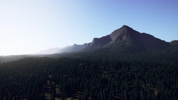 Rocky Mountain Range with Trees