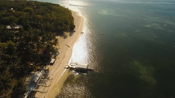 Tropical Beach and Turquoise Sea Philippines,Bohol