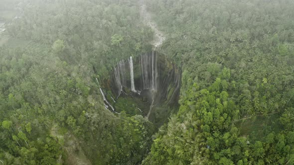 Drone Over Forest And Mist Of Tumpak Sewu Waterfalls