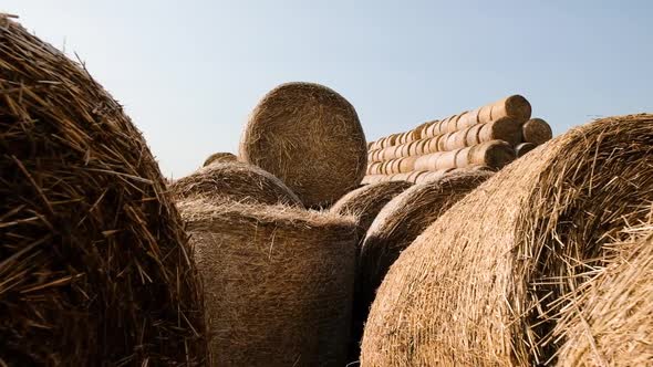 Hay Bales are Stack Large Stacks