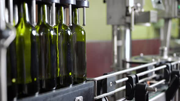 Glass Bottles on the Automatic Conveyor Line at Wine Factory