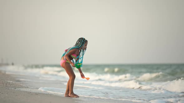 A Girl with African Braids in a Summer Costume Plays on the Beach with Shells Near the Sea with