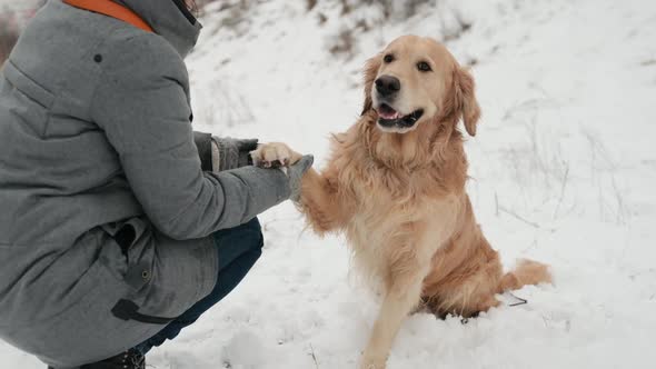 Girl with Golden Retriever Dog in Winter Time