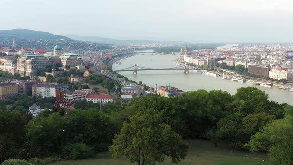 Trees in Budapest