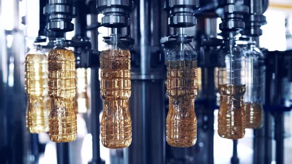 Olive Oil Pouring Into Plastic Bottles