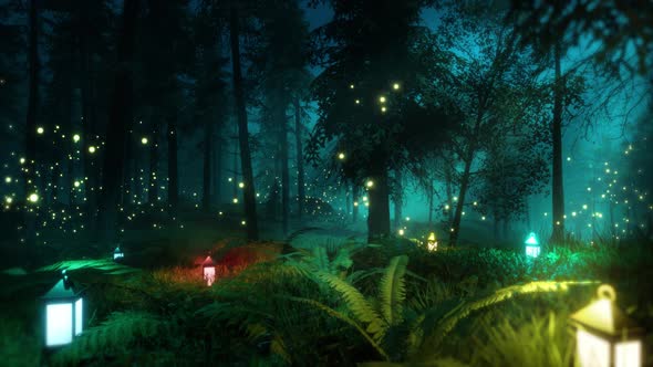 Magical Forest With Lanterns HD