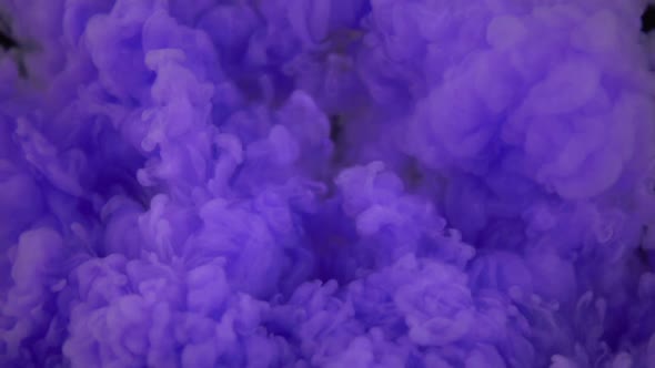 Purple Liquid Paint In Water