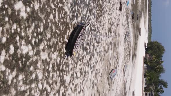 Zanzibar Tanzania  Vertical Video of Low Tide in the Ocean Near the Coast Slow Motion