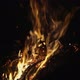 Camp Fire - VideoHive Item for Sale
