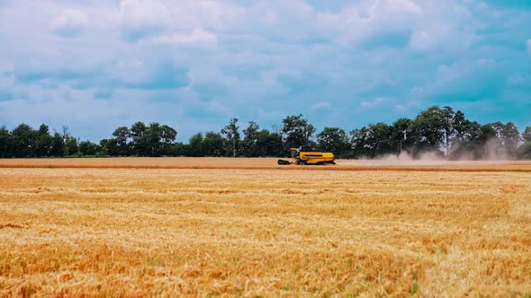 Combine mower mechanism harvesting wheat. 