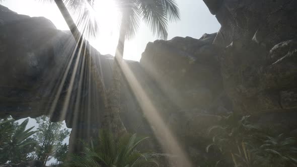 Big Palms in Stone Cave with Rays of Sunlight alt