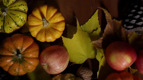 Ripe Autumn Harvest Lying on the Wooden Table is Filmed in Closeup From Above with Bokeh