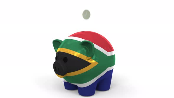 Coins Fall Into Piggy Bank Painted with Flag of South Africa