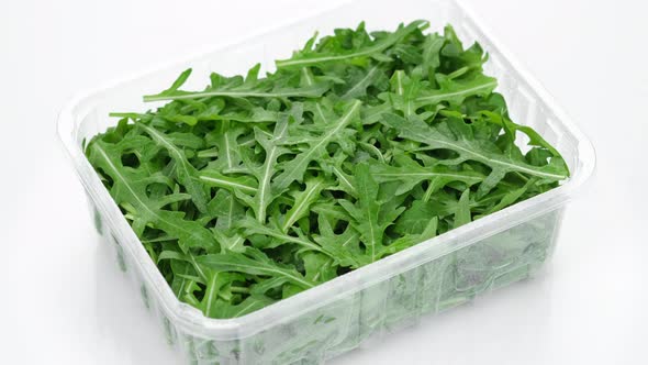 fresh arugula in container for delivery or sale on white background, rotation