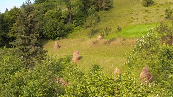 Haystacks on mountain slope meadow. Beautiful summer landscape in countryside