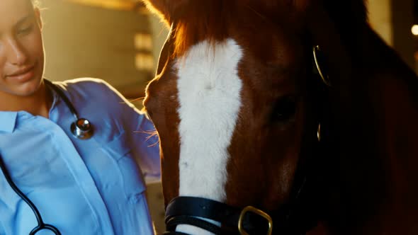 Veterinarian doctor checking a horse 4k