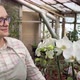 Young Farmer Inspects Orchid Flowers in Greenhouse - VideoHive Item for Sale