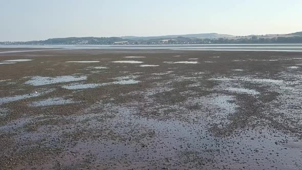 Gliding over the water with its ecosystem off of the shores of Lympstone England. This town is histo